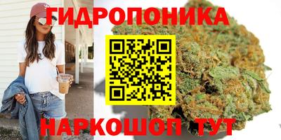 эйфоретик Краснодар