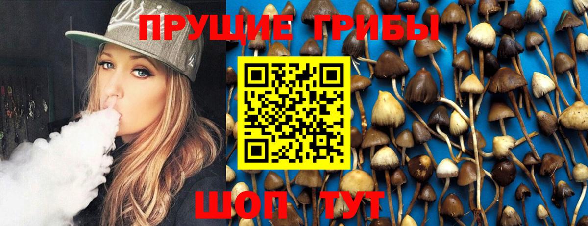 Псилоцибиновые грибы Cubensis  Вход с VPN  Псилоцибиновые грибы GOLDEN TEACHER  Киров 