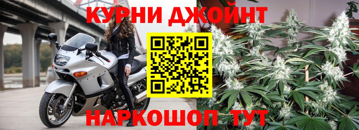 Канабис OG Kush Киров